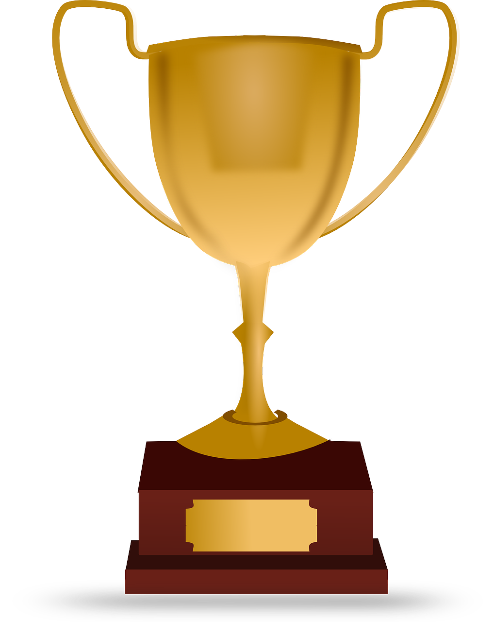 trophy, achievement, award